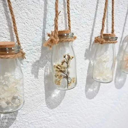 Villa Maison Avec Dans L'hyper Centre De Poitiers