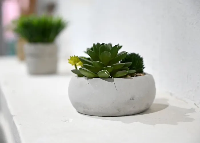 Villa Maison Avec Dans L'hyper Centre De *